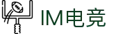IM(股份有限公司)电竞-电子竞技平台