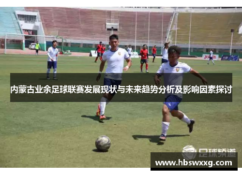 内蒙古业余足球联赛发展现状与未来趋势分析及影响因素探讨