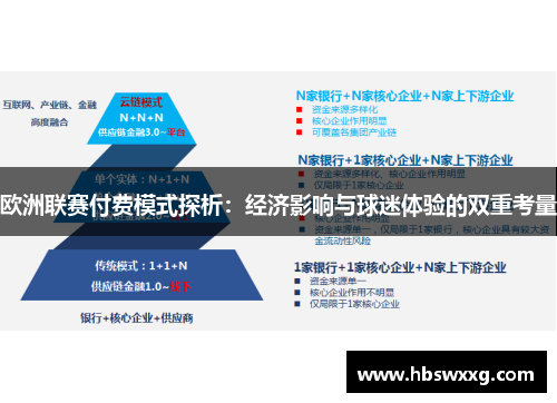 欧洲联赛付费模式探析：经济影响与球迷体验的双重考量